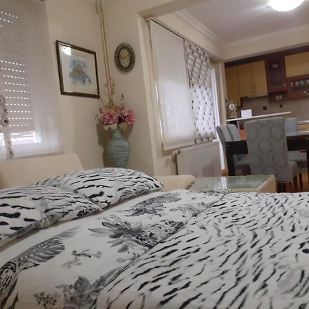 Spacious 80M2 Apartment In The Center Любушки Экстерьер фото
